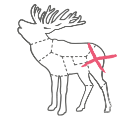 Nuss vom Hirsch